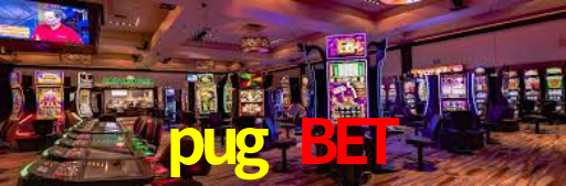 Programa VIP pug bet